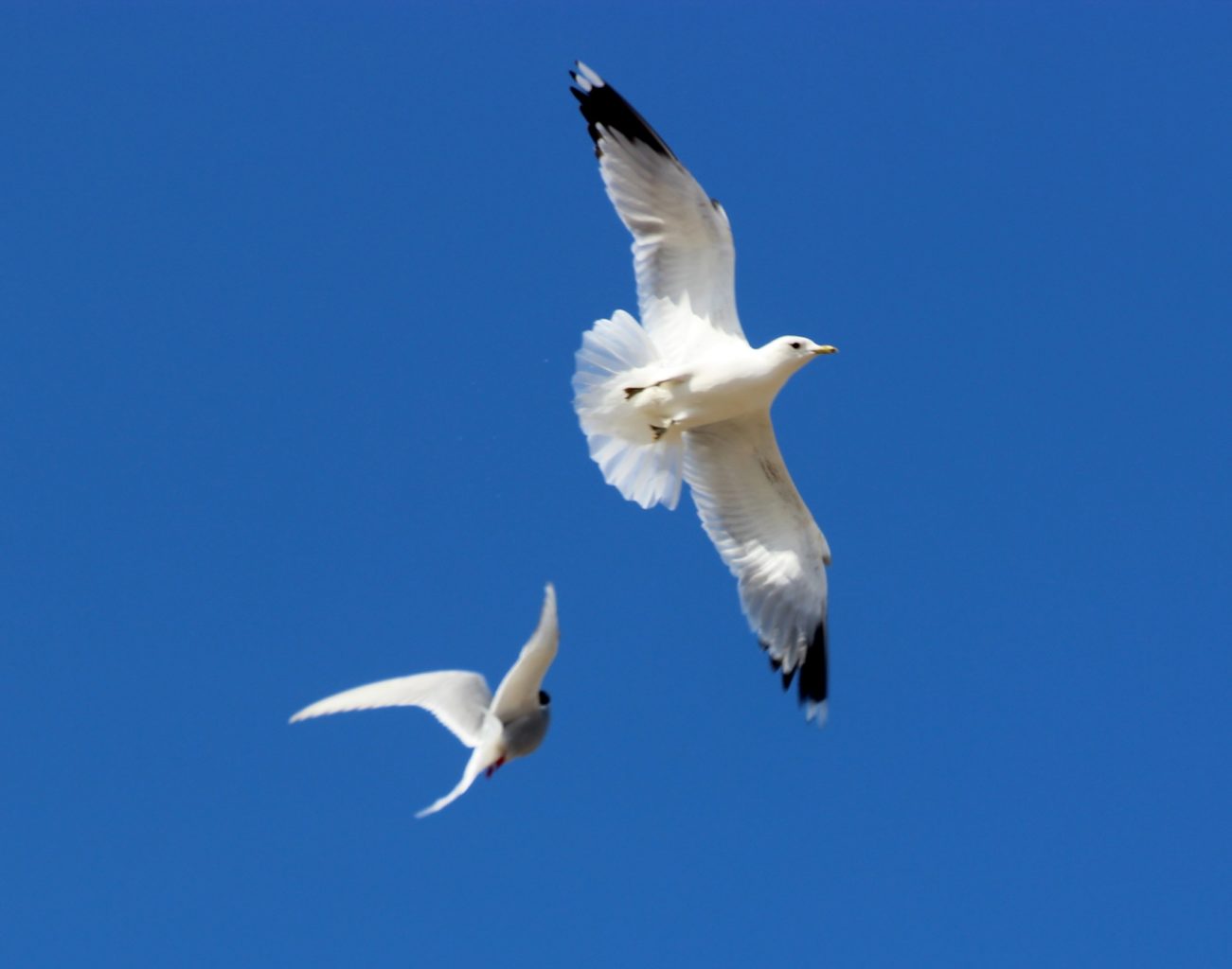 Valokuvaaja: Irja Lehtinen