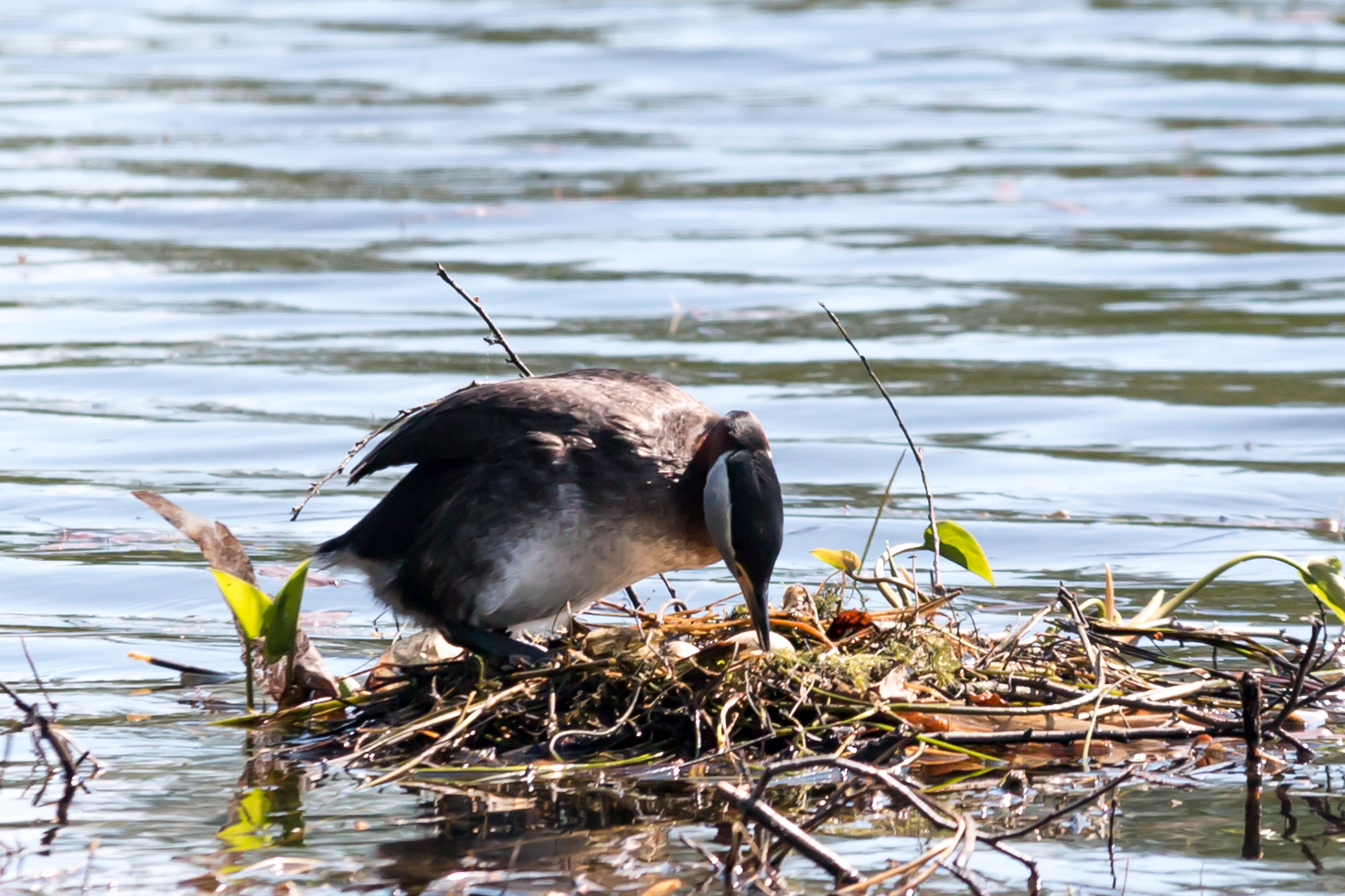 Valokuvaaja: Ari Tapaninen