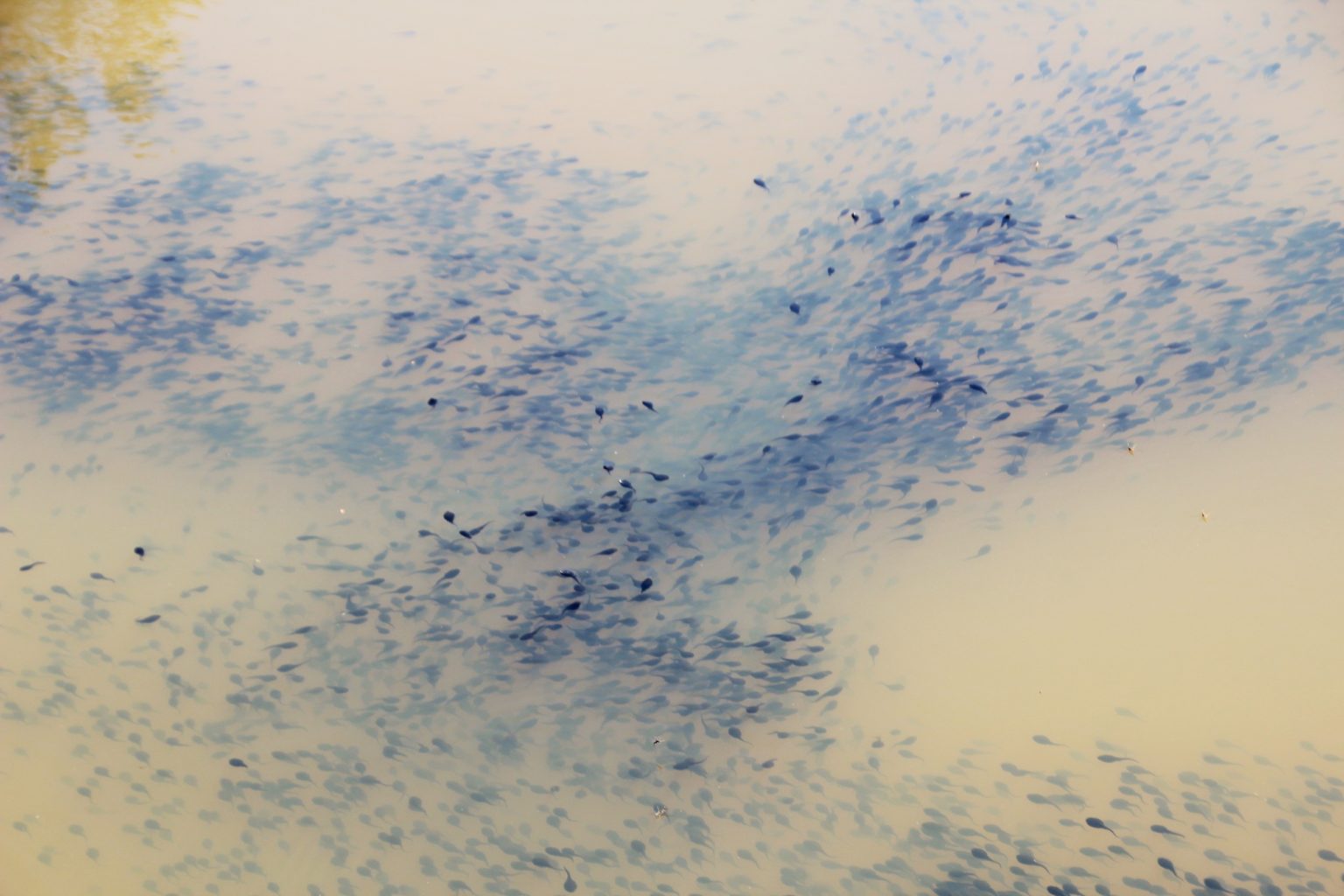 Valokuvaaja: Marke Laaksonen