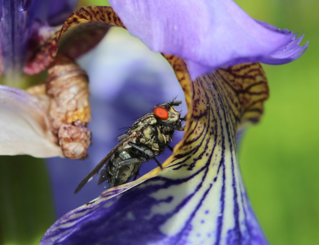 Valokuvaaja: Irja lehtinen