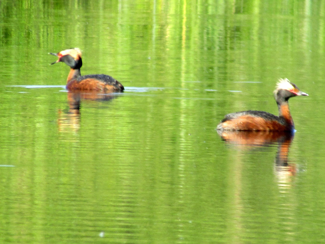 Valokuvaaja: Sirkka Ruotoistenmäki
