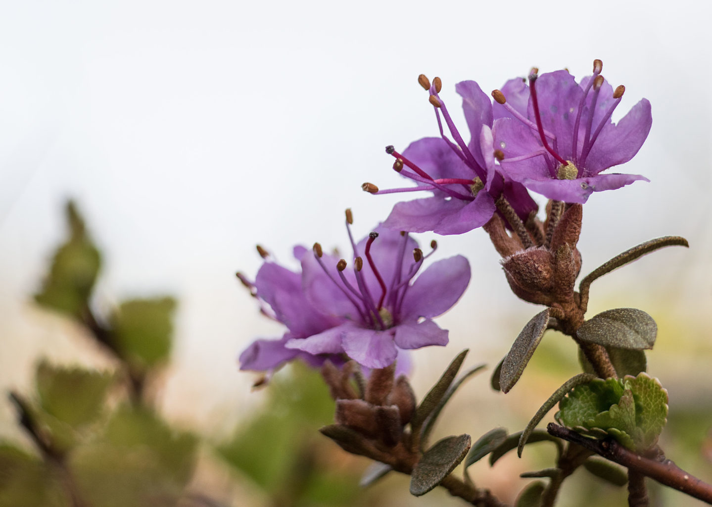 Valokuvaaja: Katri Niskanen