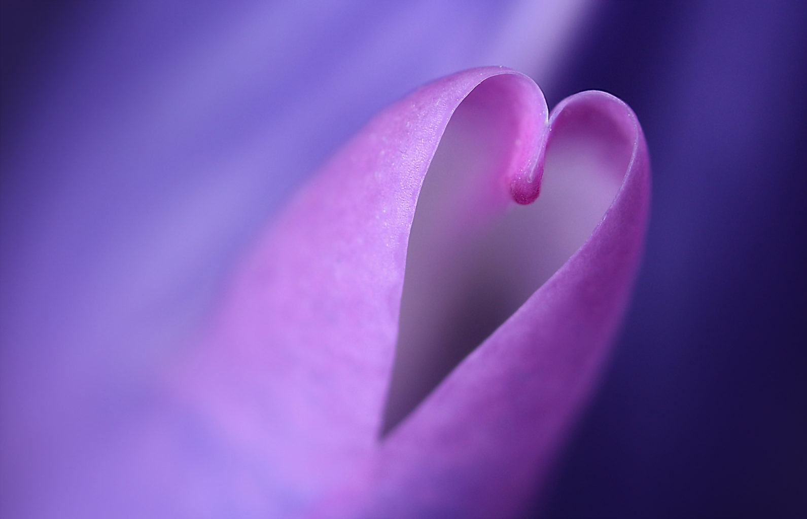 Valokuvaaja: Tarja Porkkala