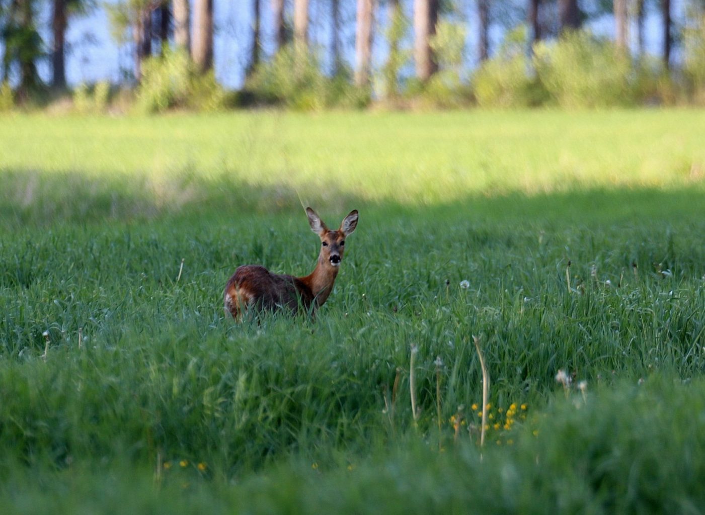 Valokuvaaja: Sirpa Jyske