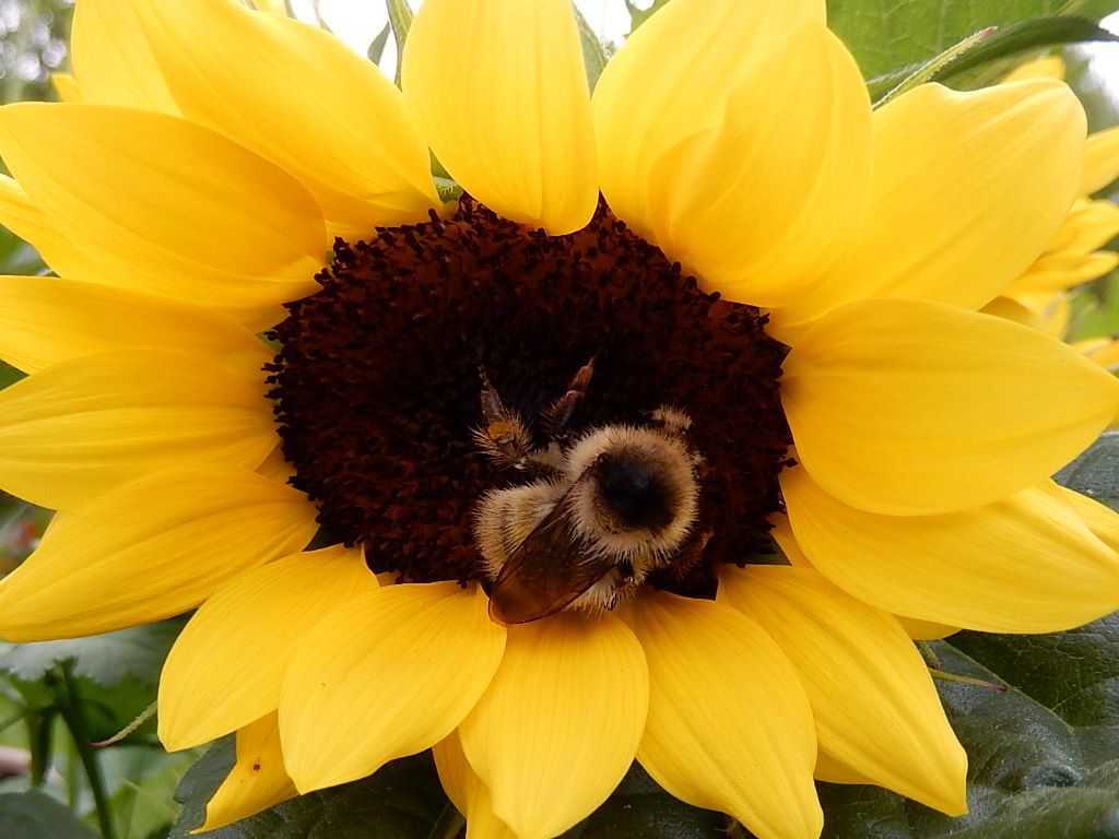 Valokuvaaja: Pirkko Siukonen