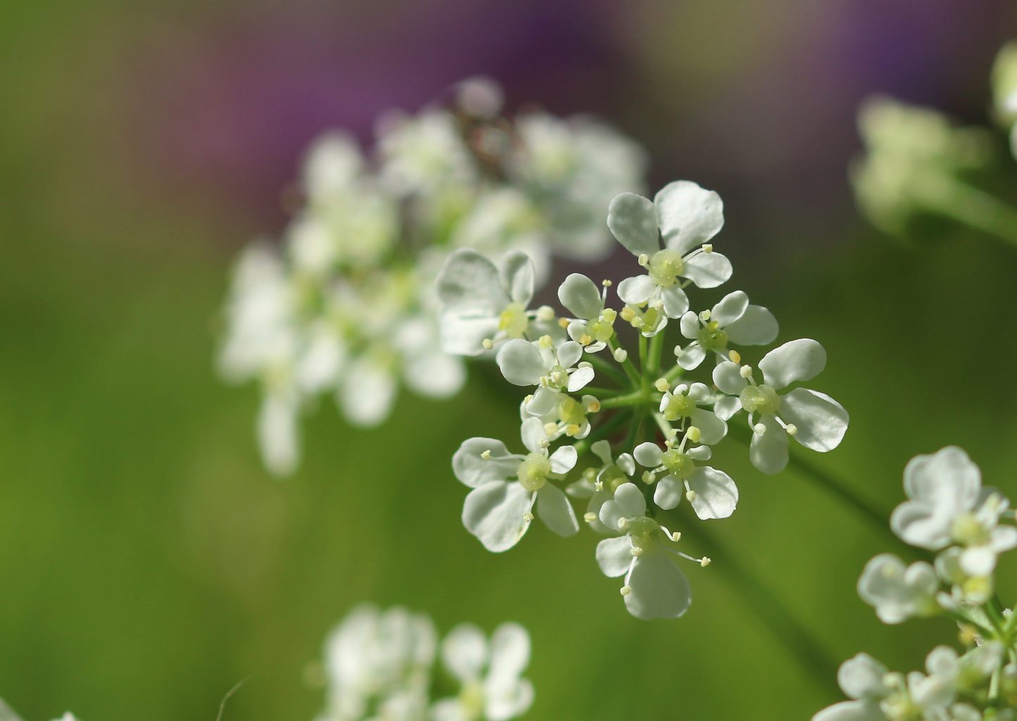 Valokuvaaja: Tarja Porkkala