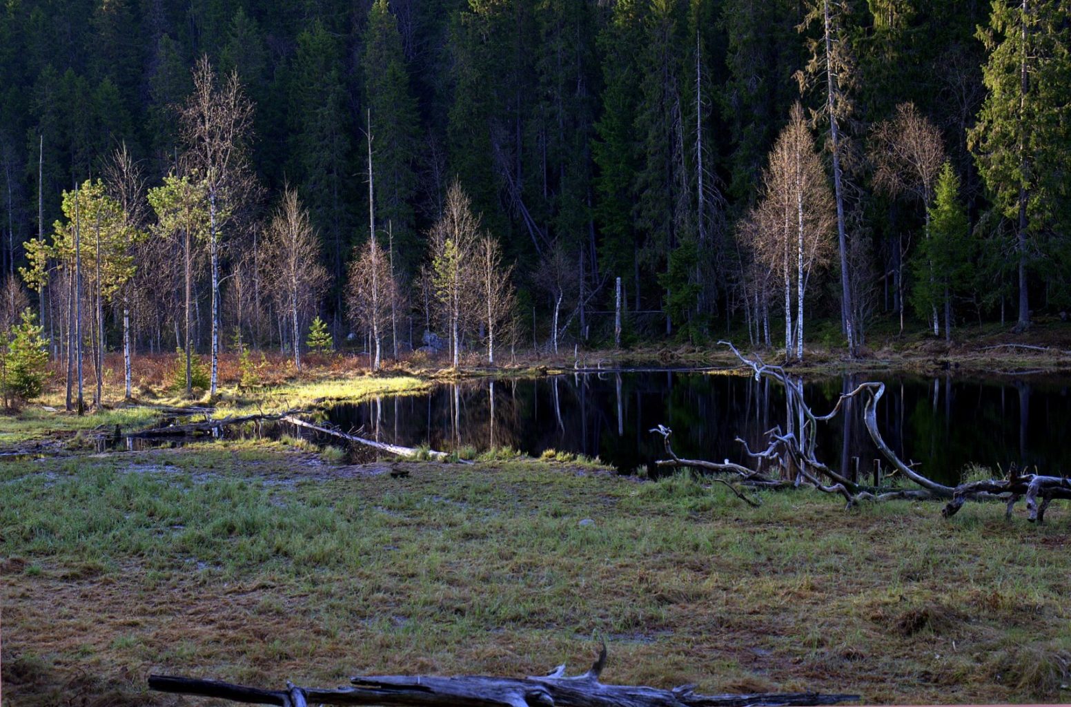 Valokuvaaja: Sirpa Jyske