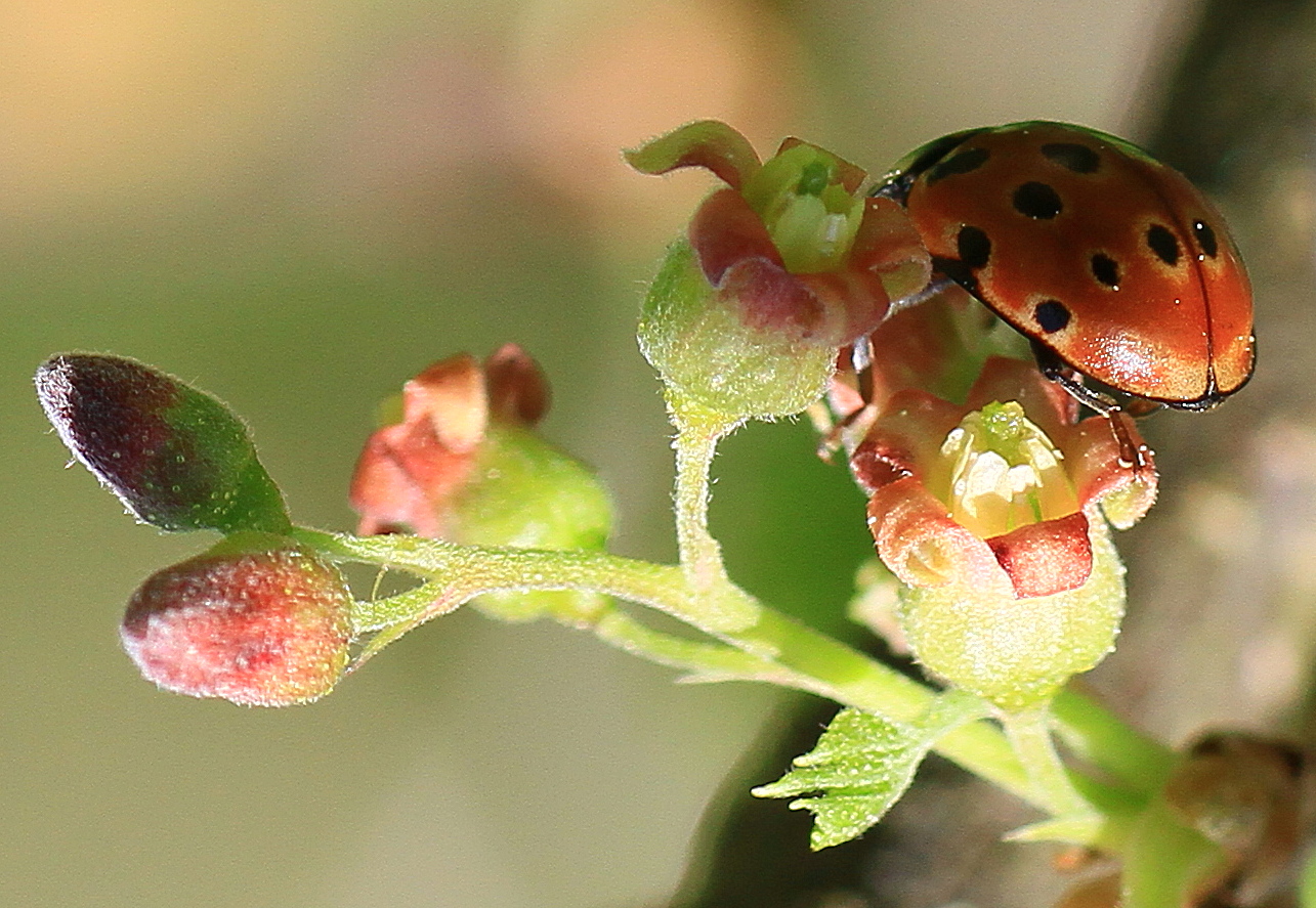 Valokuvaaja: reijo lehtonen