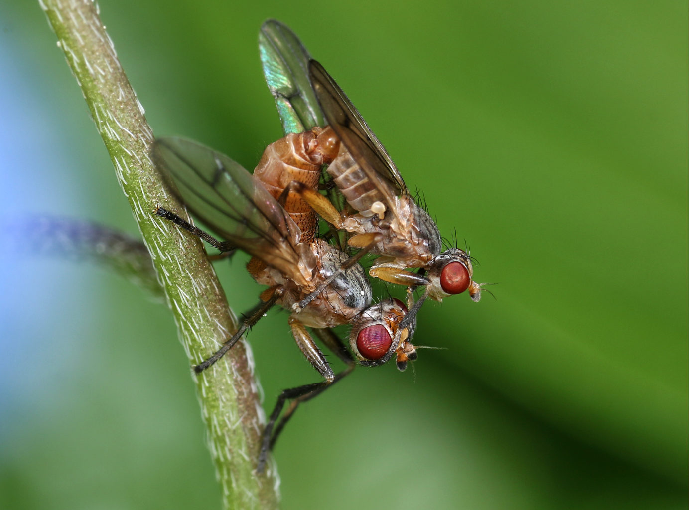 Valokuvaaja: Tarja Porkkala