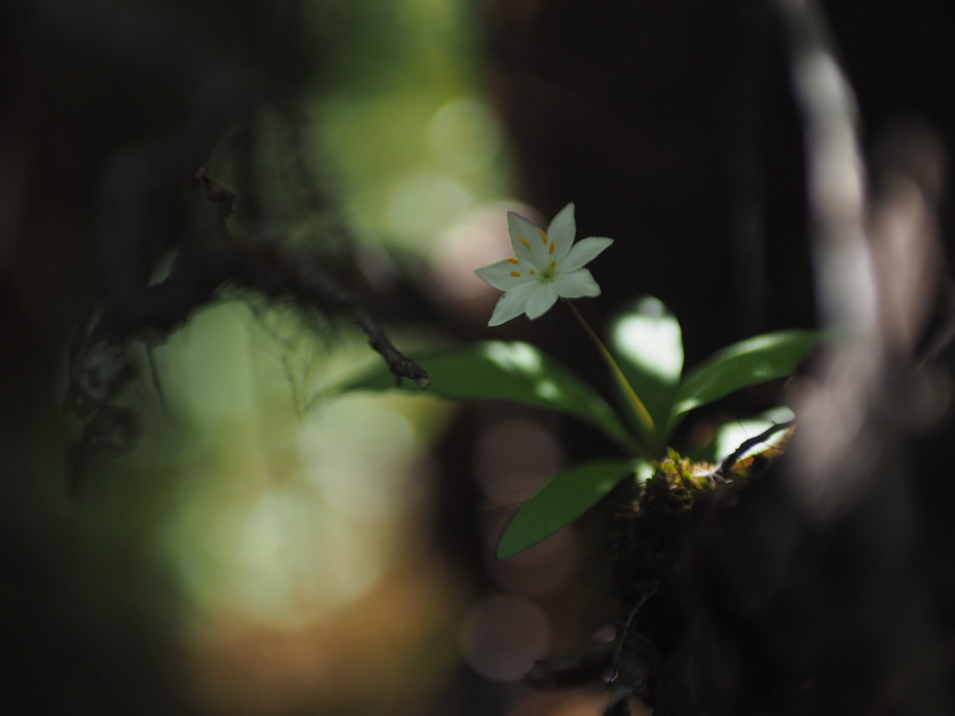 Valokuvaaja: Iida-Liisa Paronen