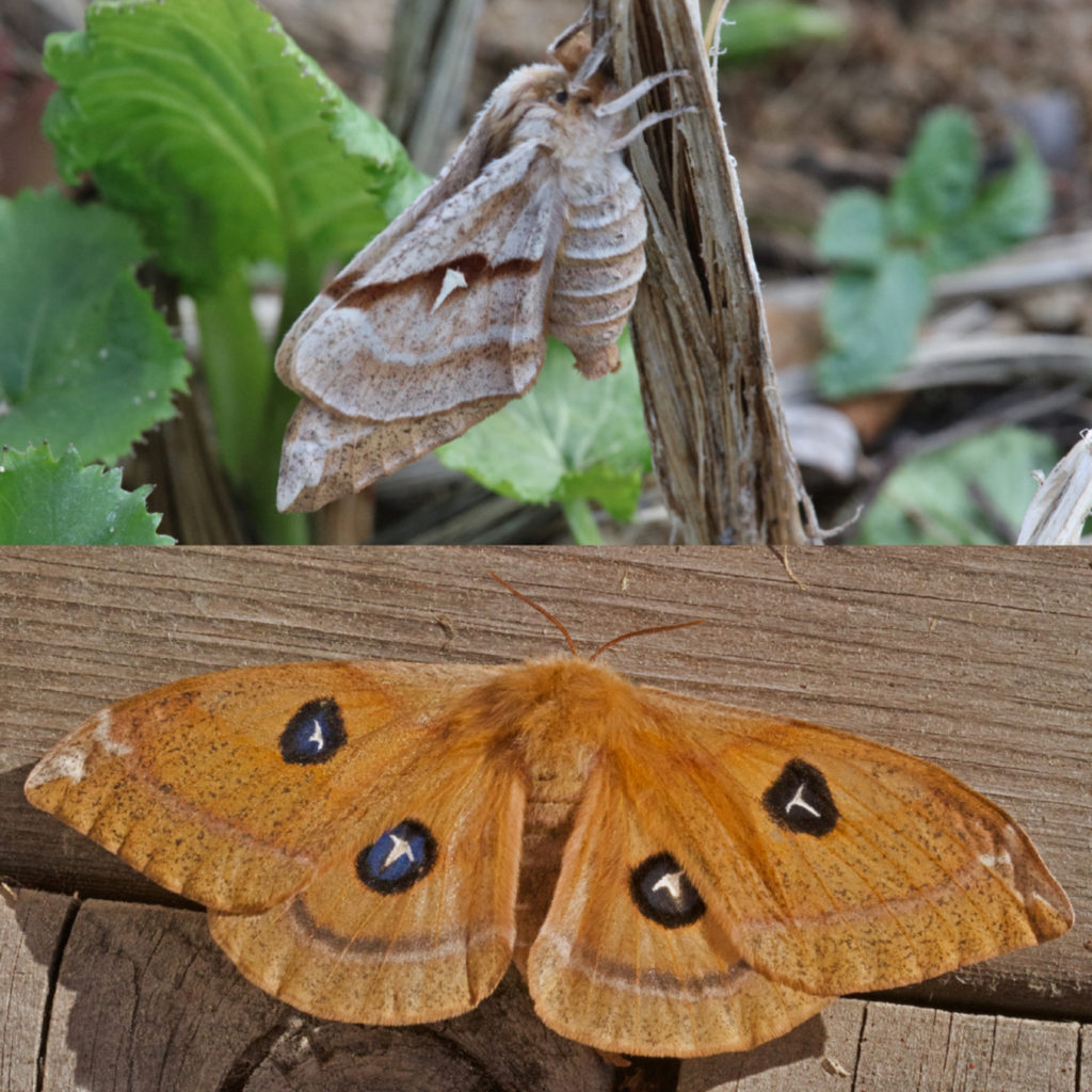 Valokuvaaja: Jarmo Sillanpää