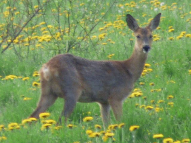 Valokuvaaja: Hannu Rissanen