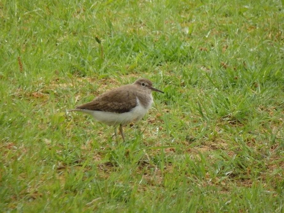 Valokuvaaja: Antti Mattanen