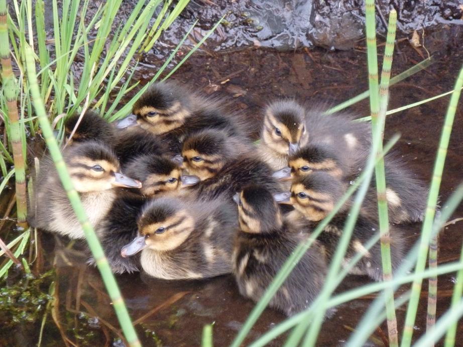 Valokuvaaja: Antti Mattanen