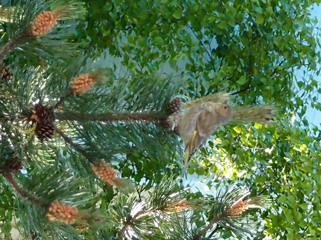 Valokuvaaja: Risto Kangassalo