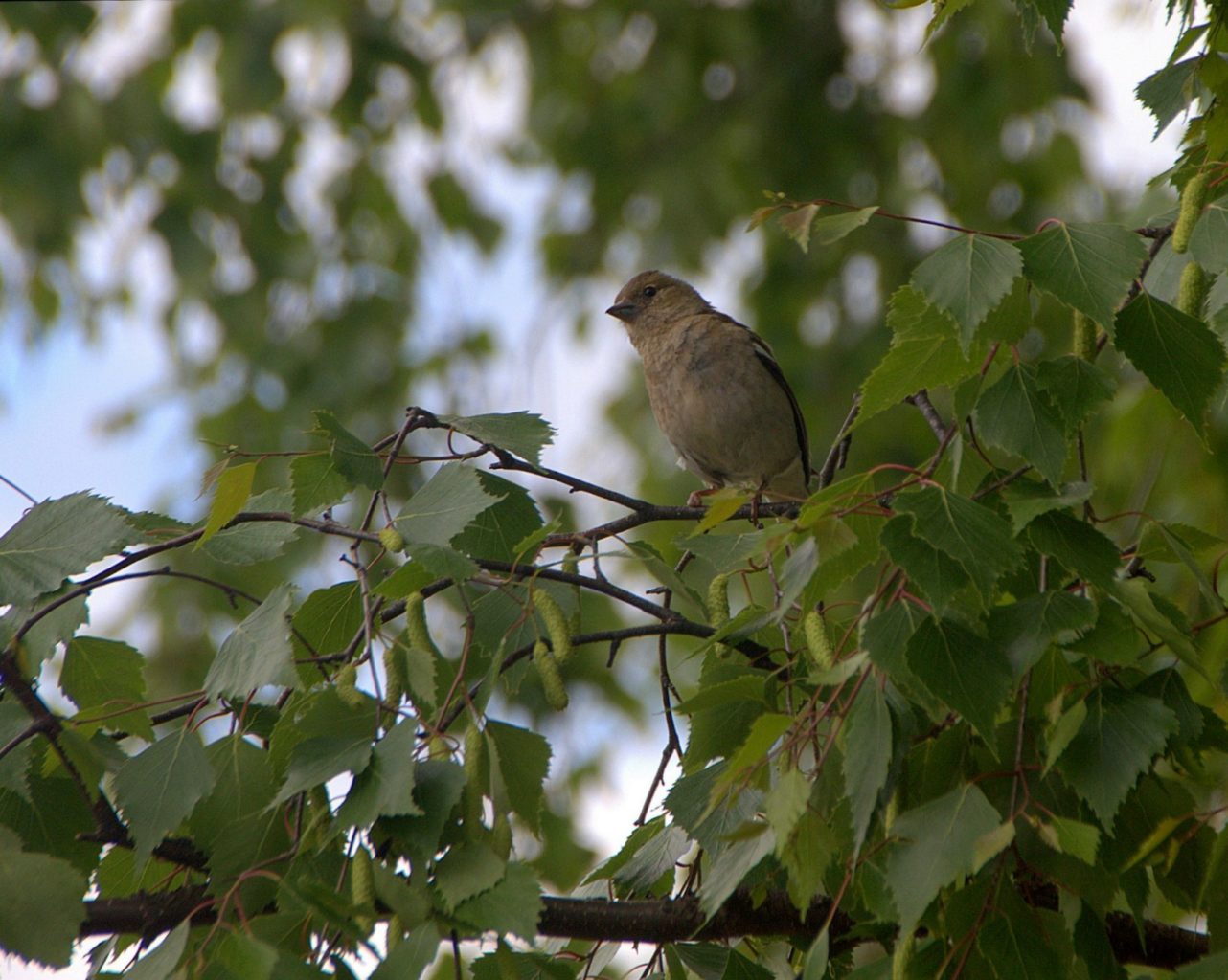 Valokuvaaja: Sirpa Jyske Valokuvaaja: Sirpa Jyske