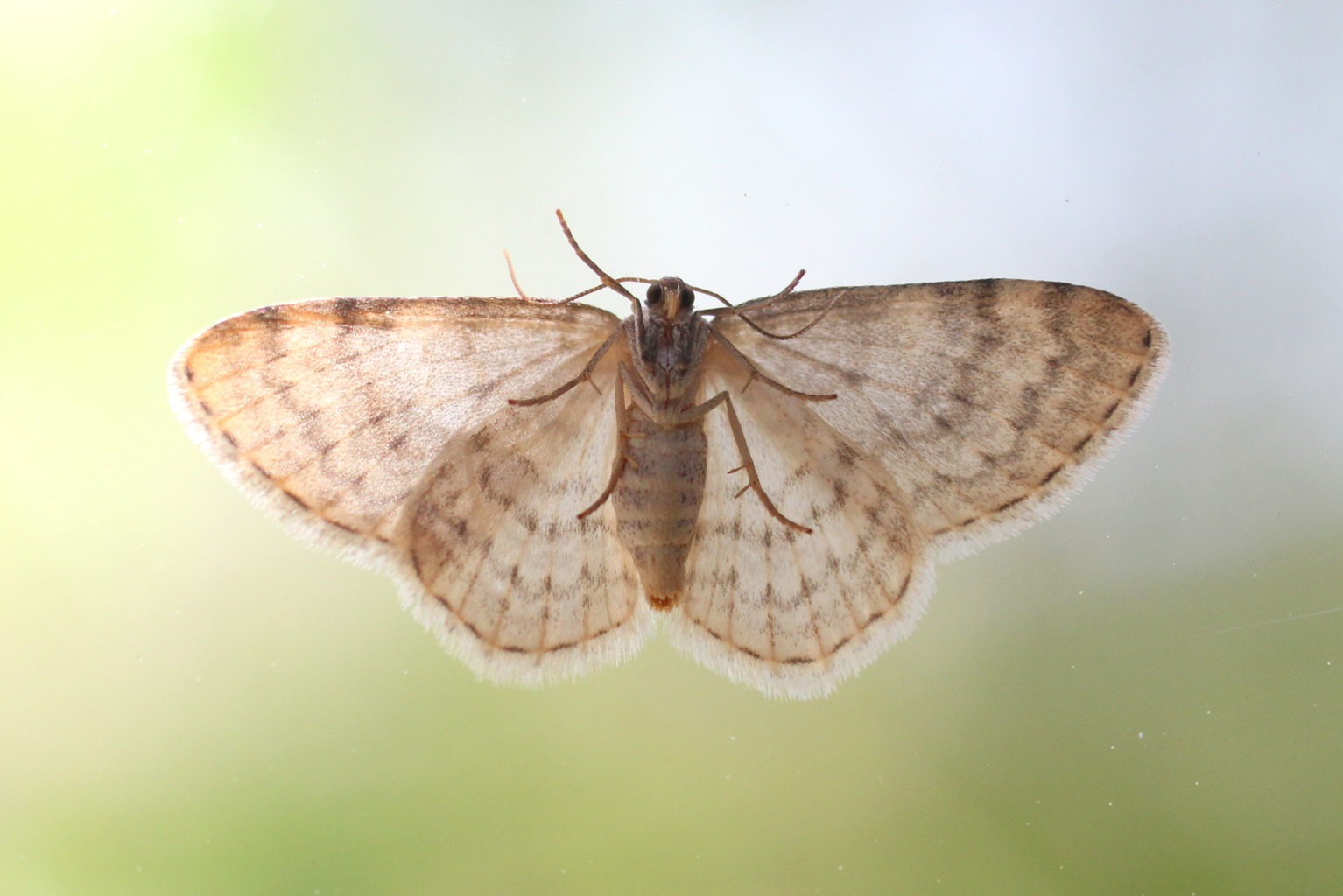 Valokuvaaja: Kalle Asikainen Valokuvaaja: Kalle Asikainen