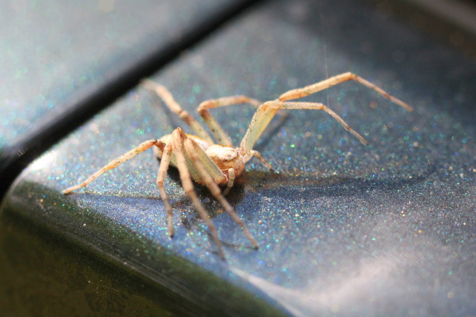 Valokuvaaja: Kalle Asikainen