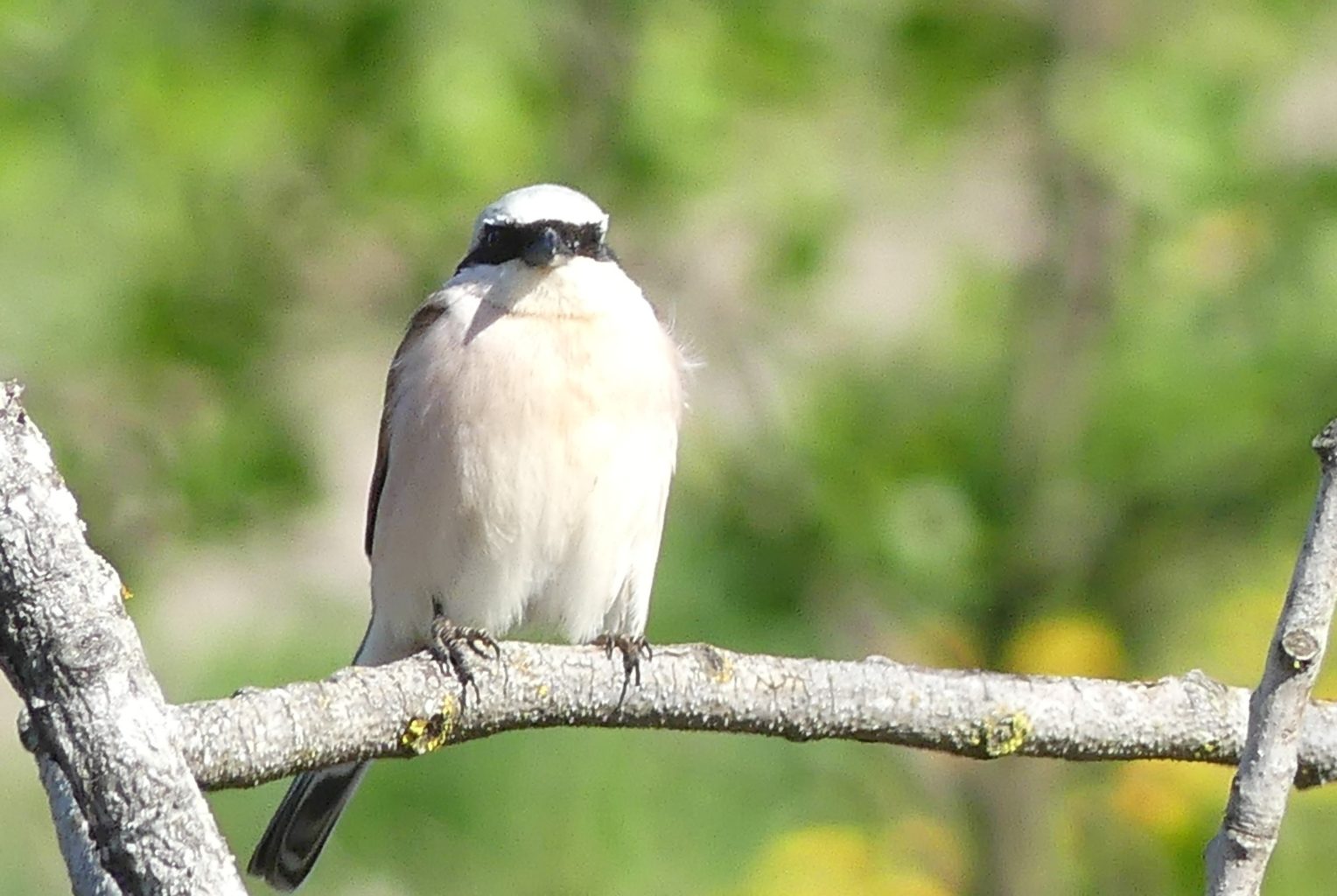 Valokuvaaja: Raili Paavola