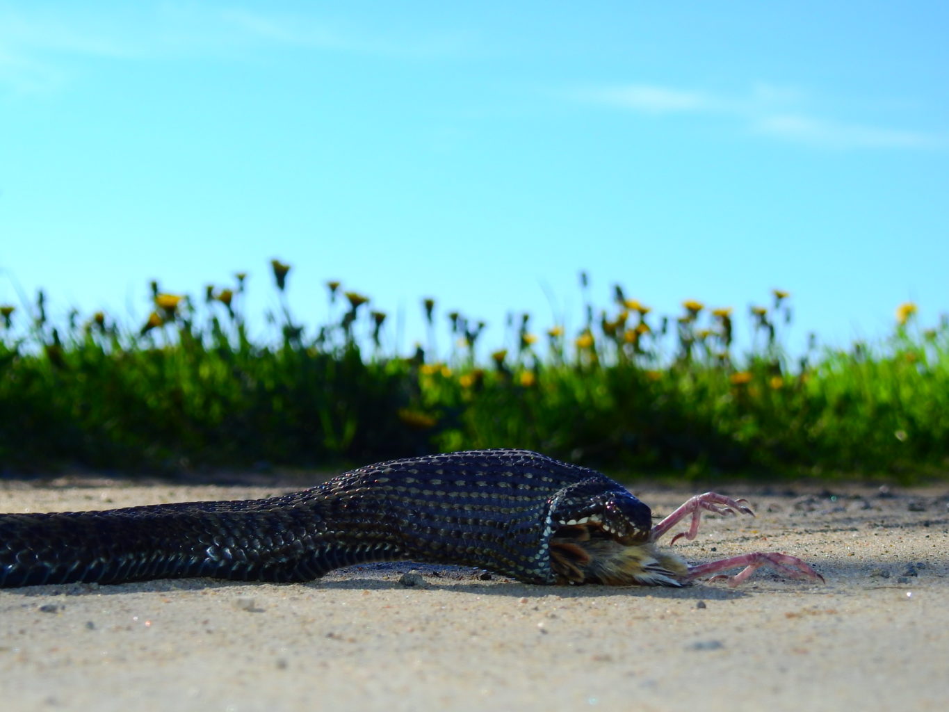 Valokuvaaja: seppo mäkelä