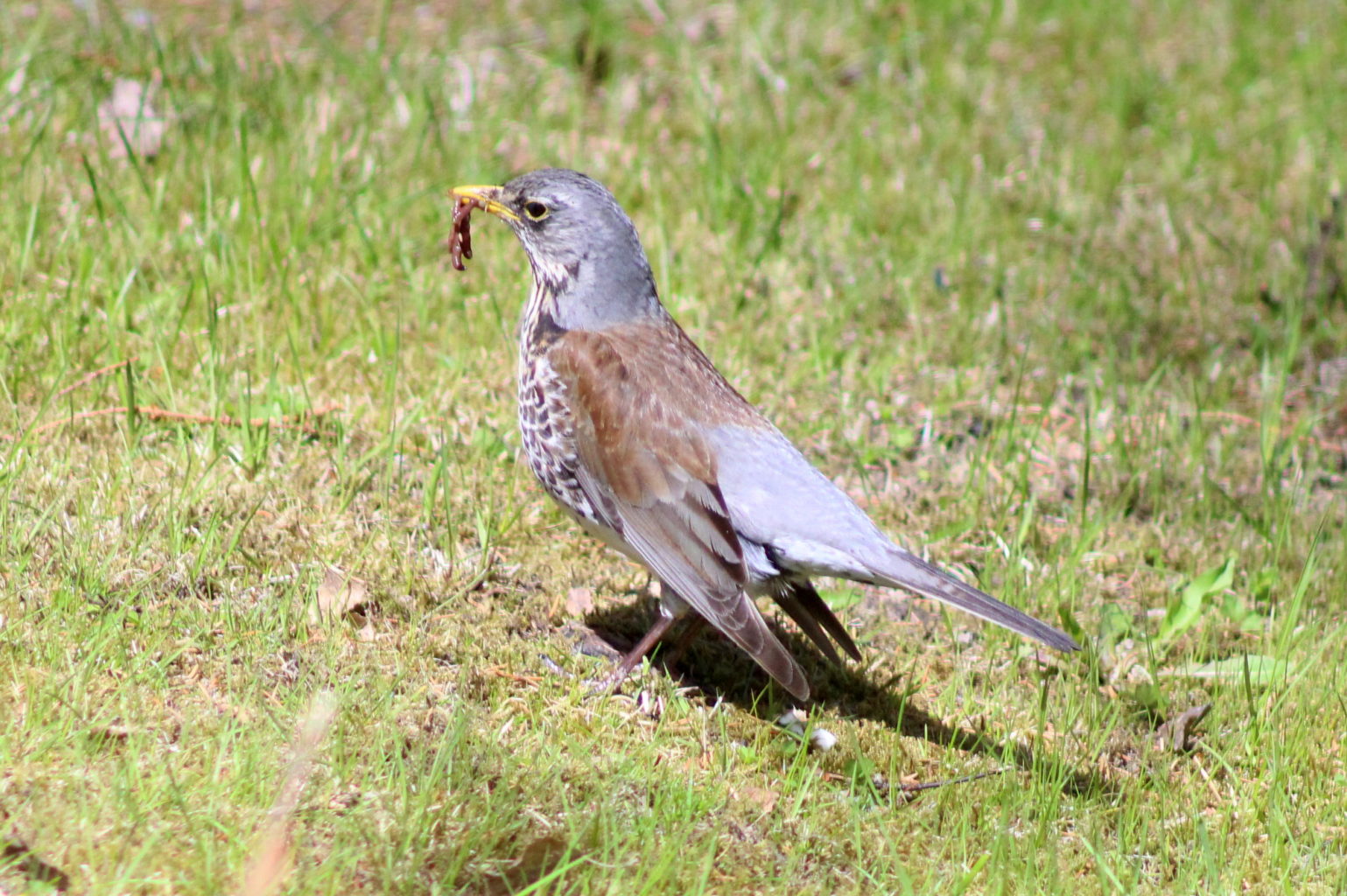 Valokuvaaja: Kalle Asikainen