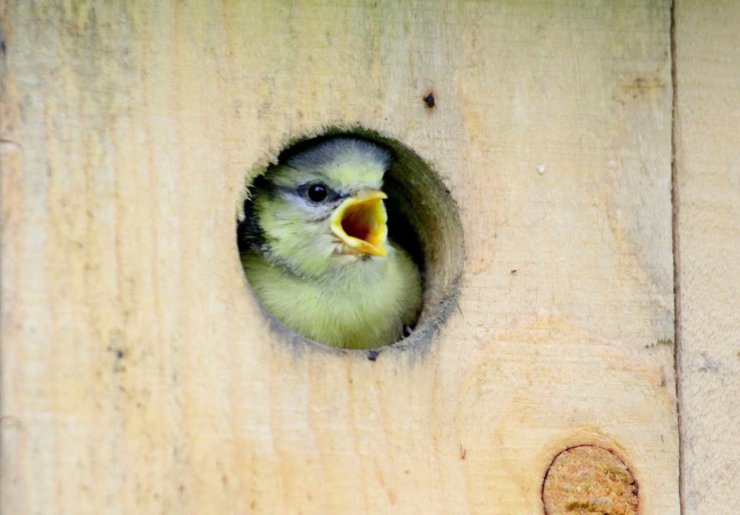 Valokuvaaja: Sirpa Jyske