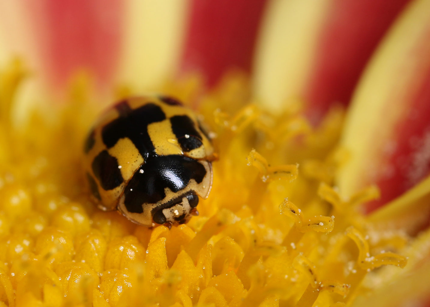 Valokuvaaja: Tarja Porkkala