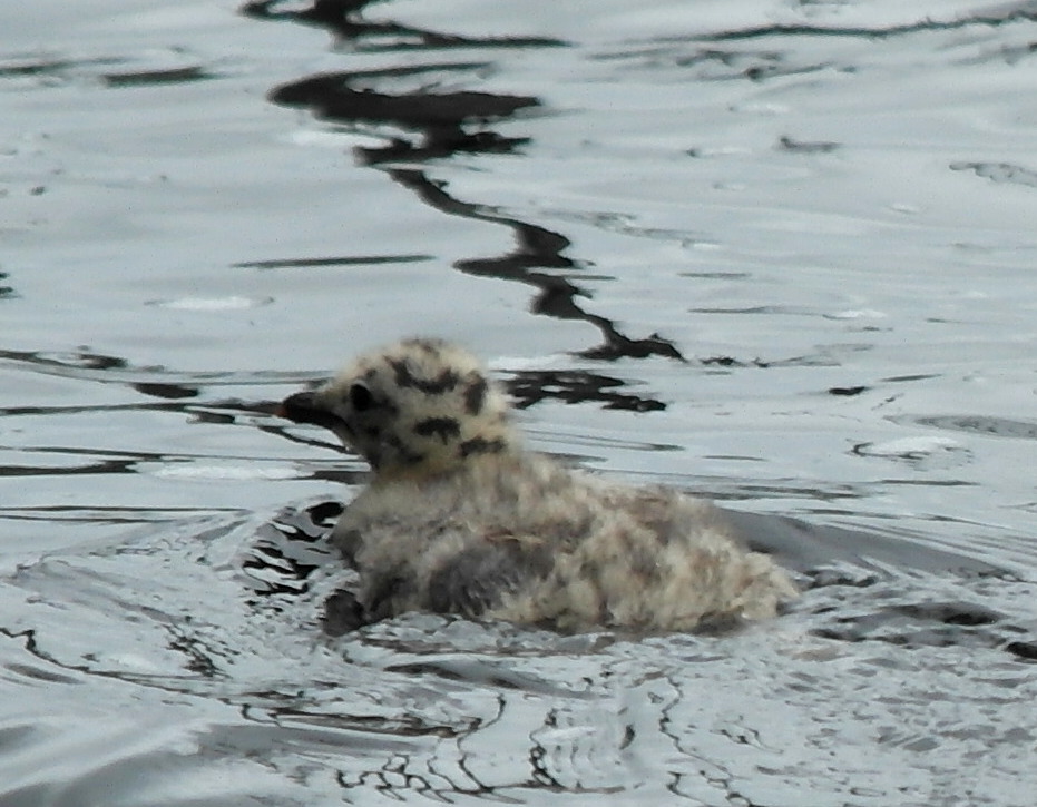 Valokuvaaja: Seija Allonen