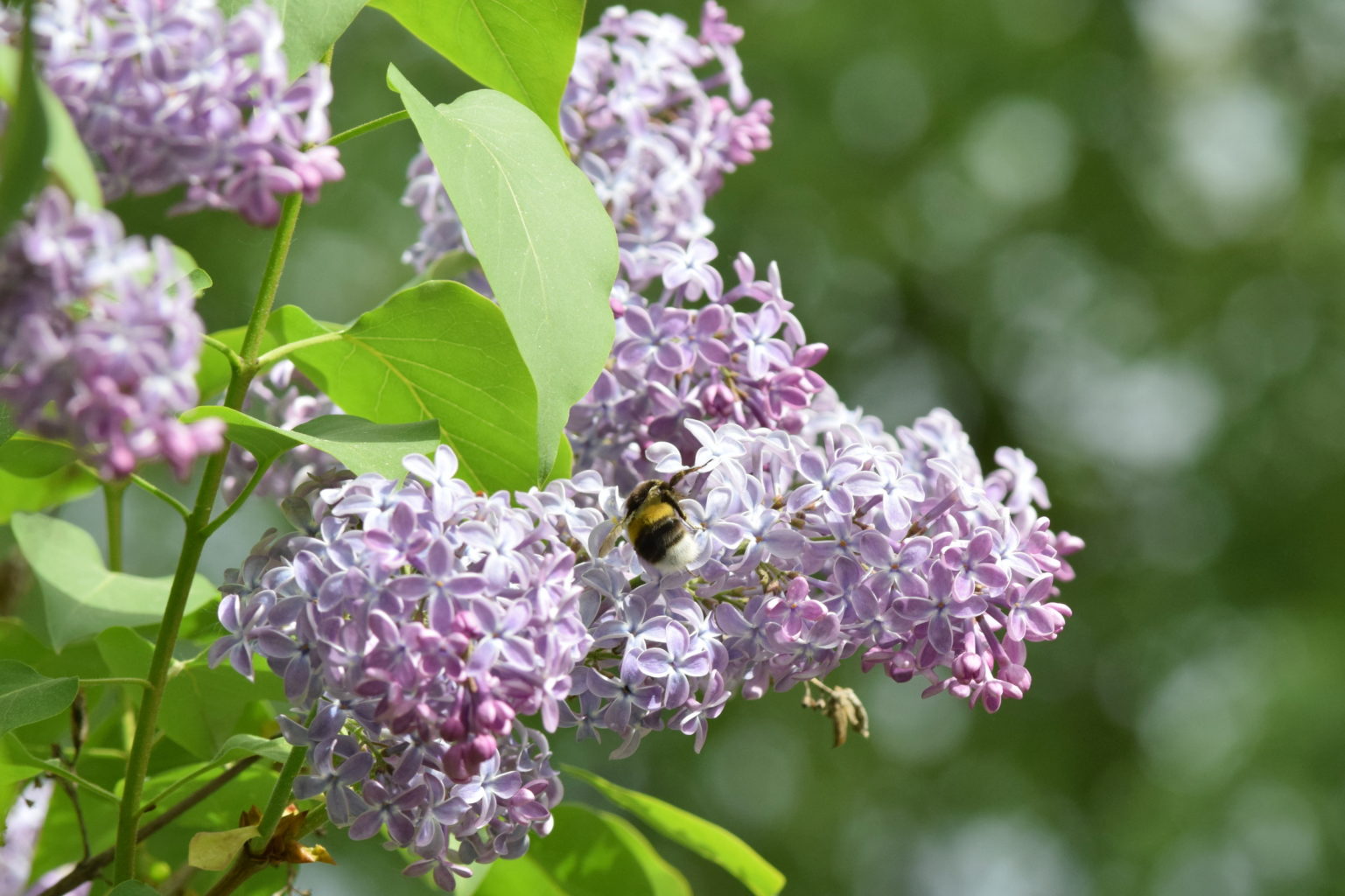 Valokuvaaja: Kalle Asikainen