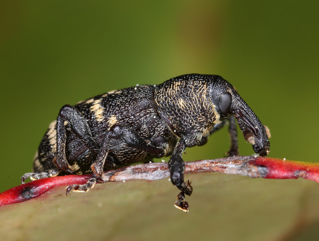 Valokuvaaja: Tarja Porkkala