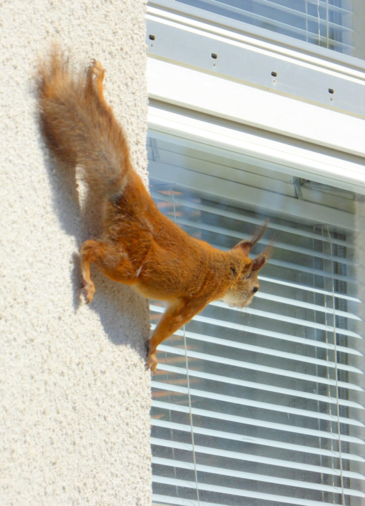 Valokuvaaja: Toni Asikainen