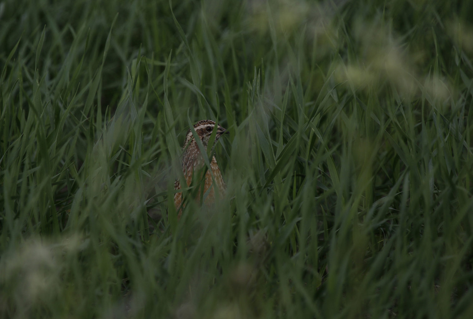 Valokuvaaja: Joni Raivio