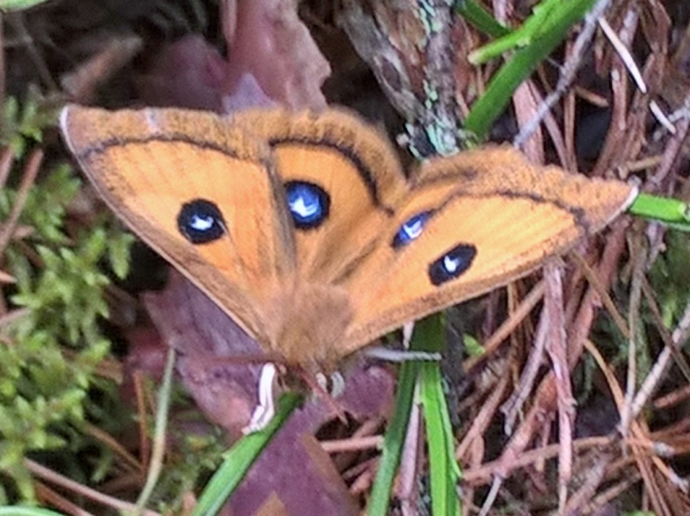 Valokuvaaja: Sami Teittinen