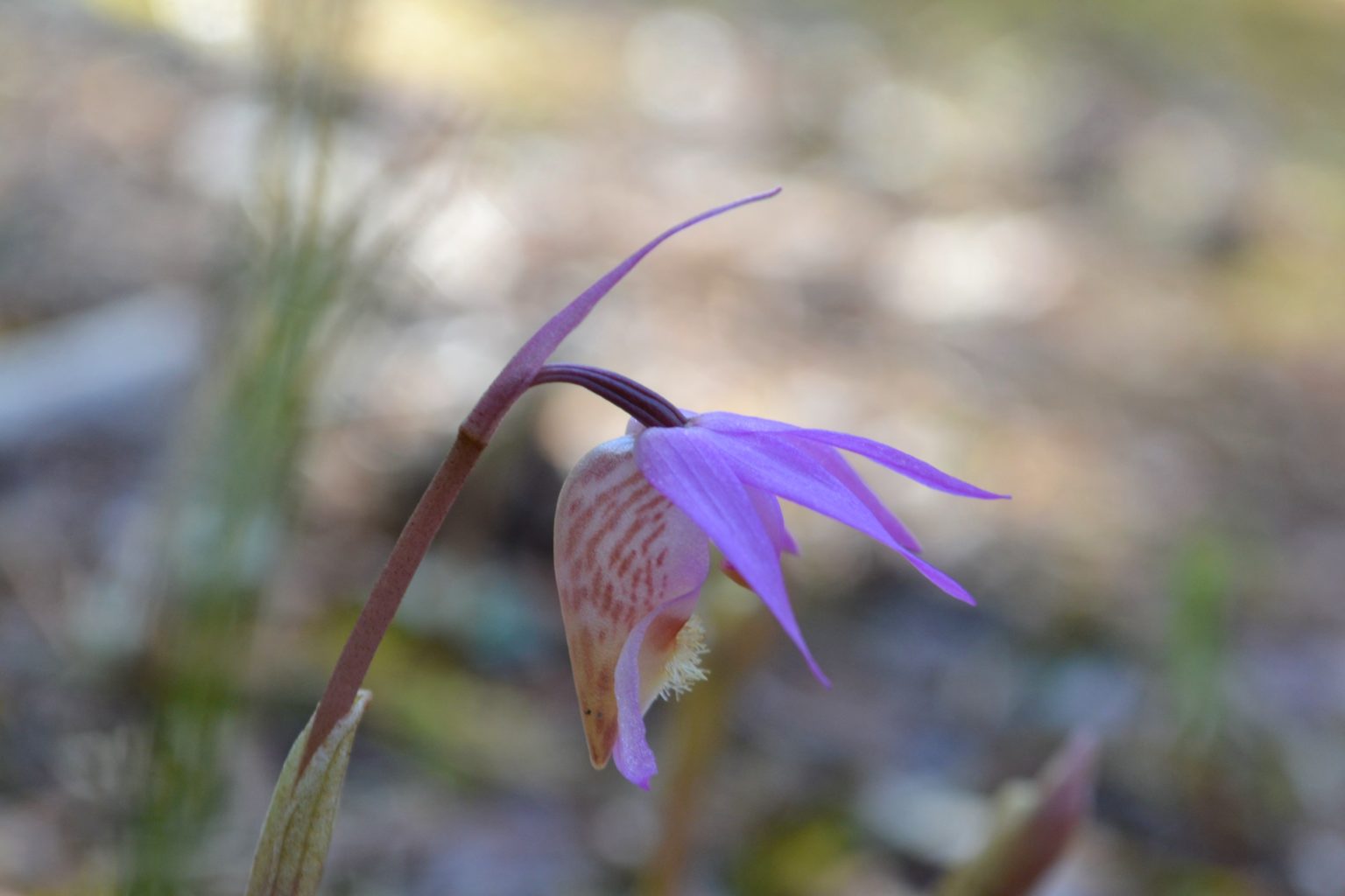 Valokuvaaja: Leena Rissanen