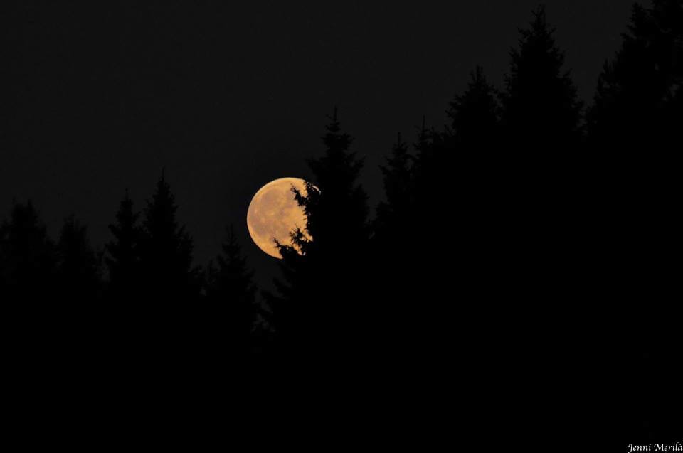 Valokuvaaja: Jenni Merilä