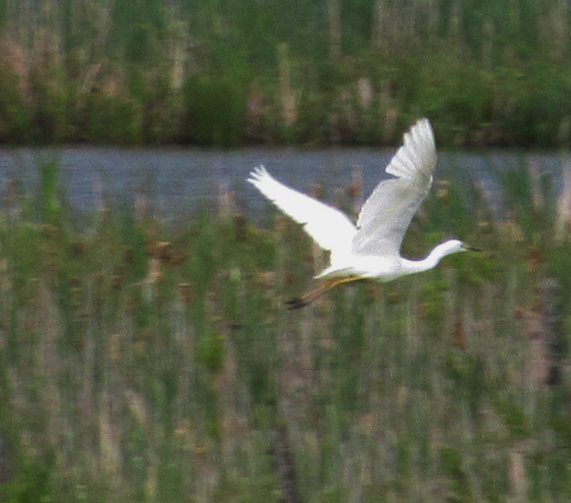 Valokuvaaja: Erkki Paajanen