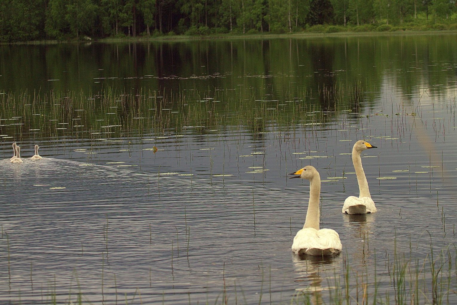 Valokuvaaja: Sirpa Jyske