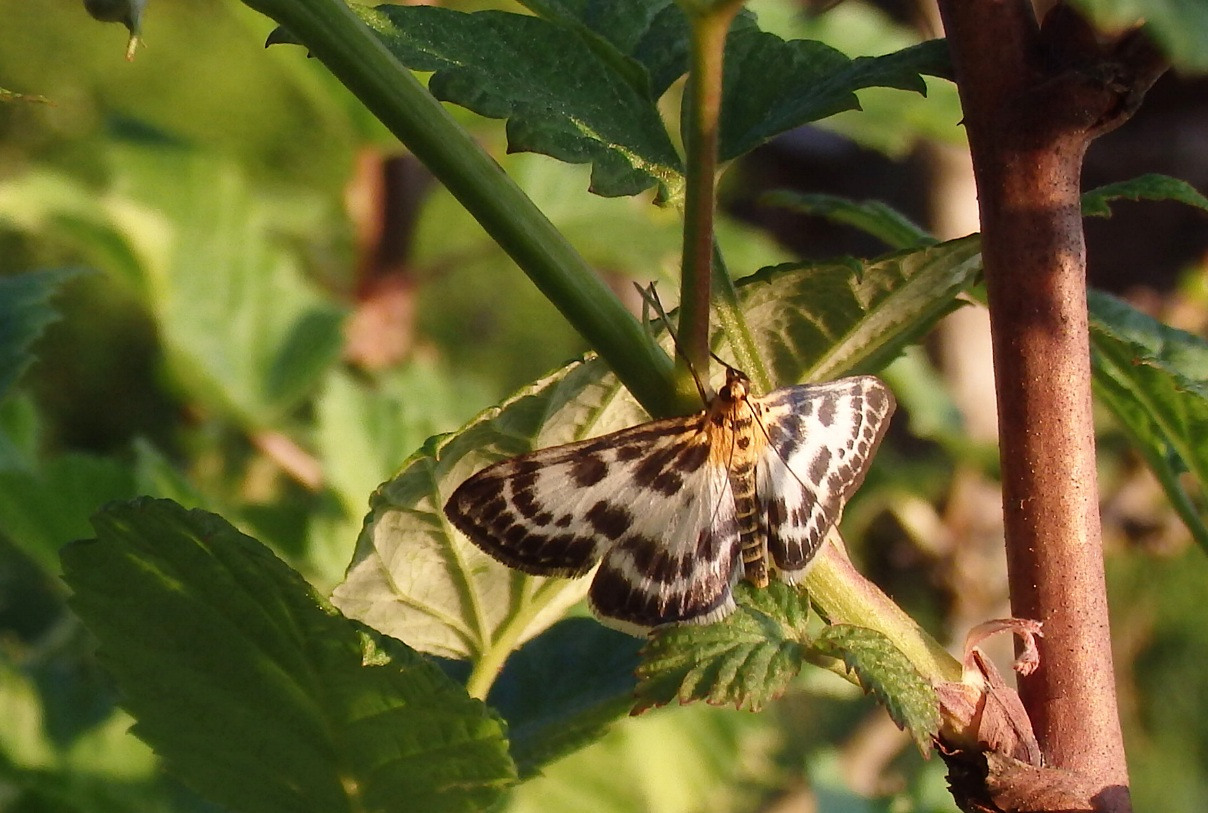Valokuvaaja: Antti Kaskinen