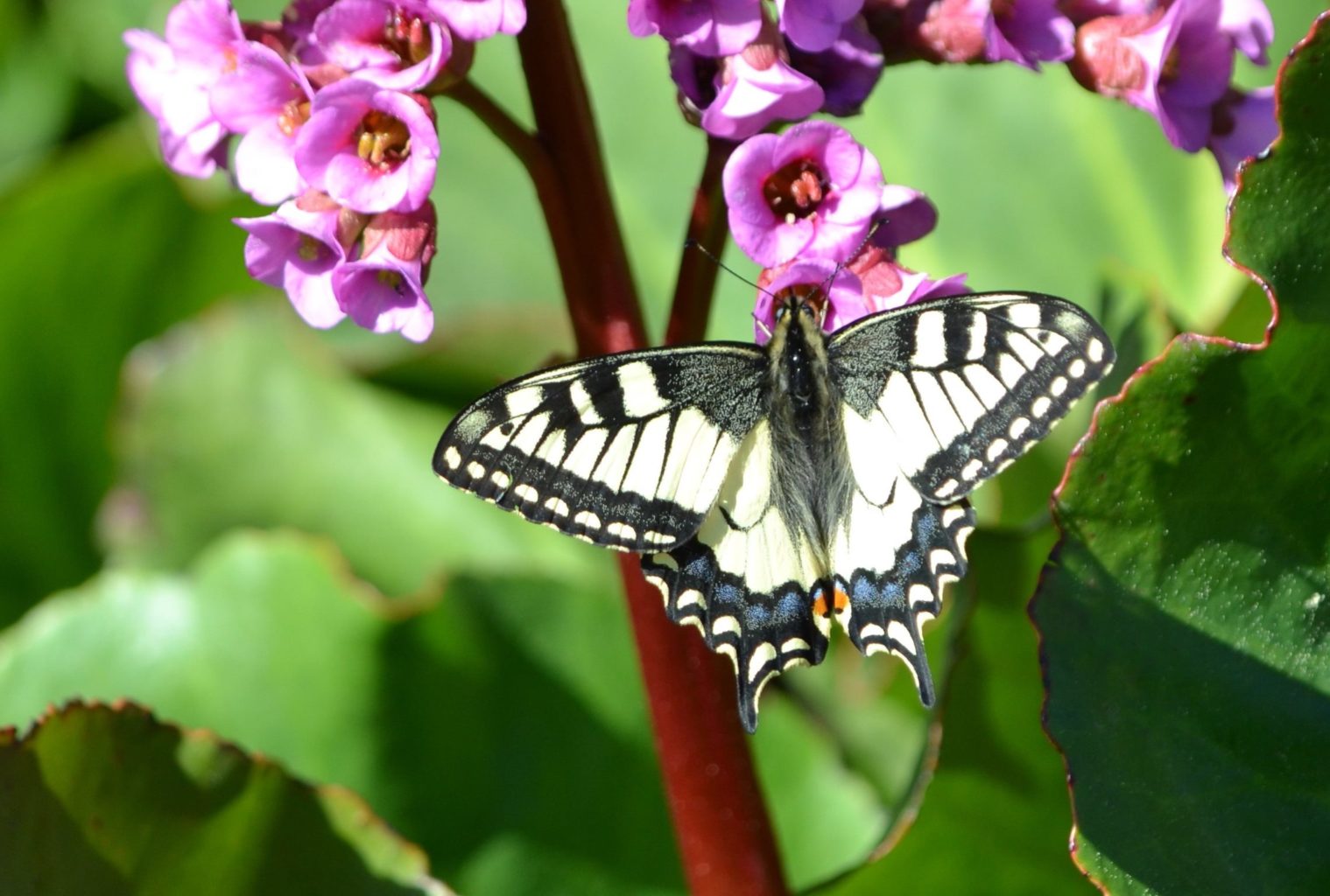 Valokuvaaja: Leena Rissanen