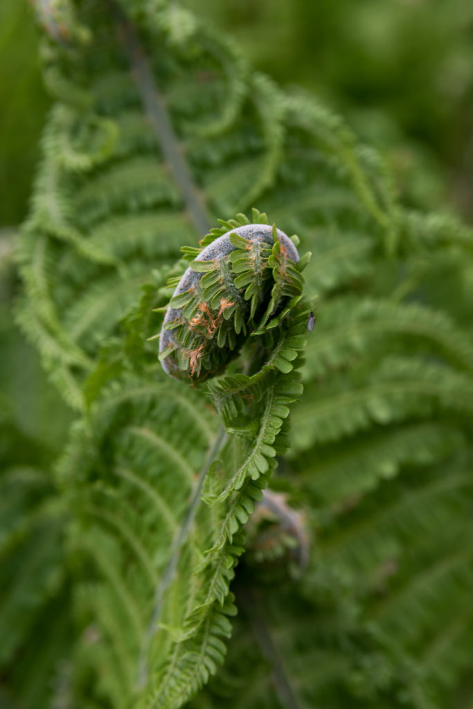 Valokuvaaja: Merja Ollikainen