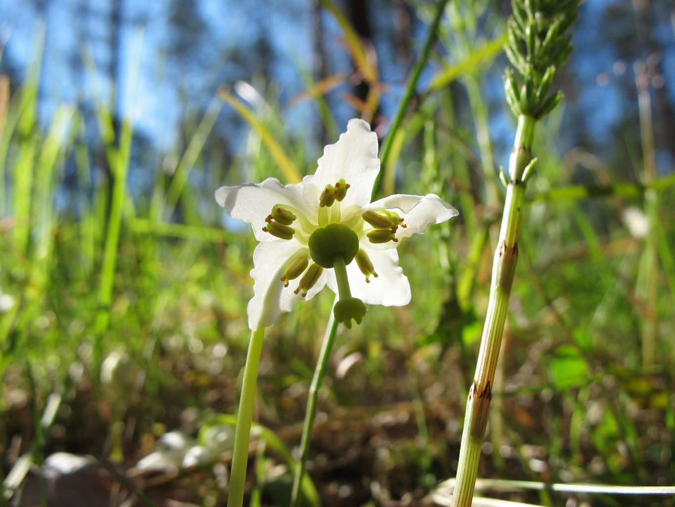 Valokuvaaja: Mirva Inkilä