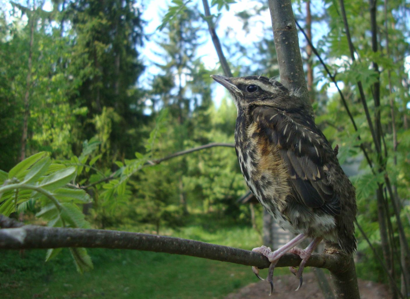 Valokuvaaja: Anja Mustamaa