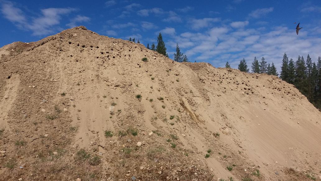 Valokuvaaja: Antti Mattanen