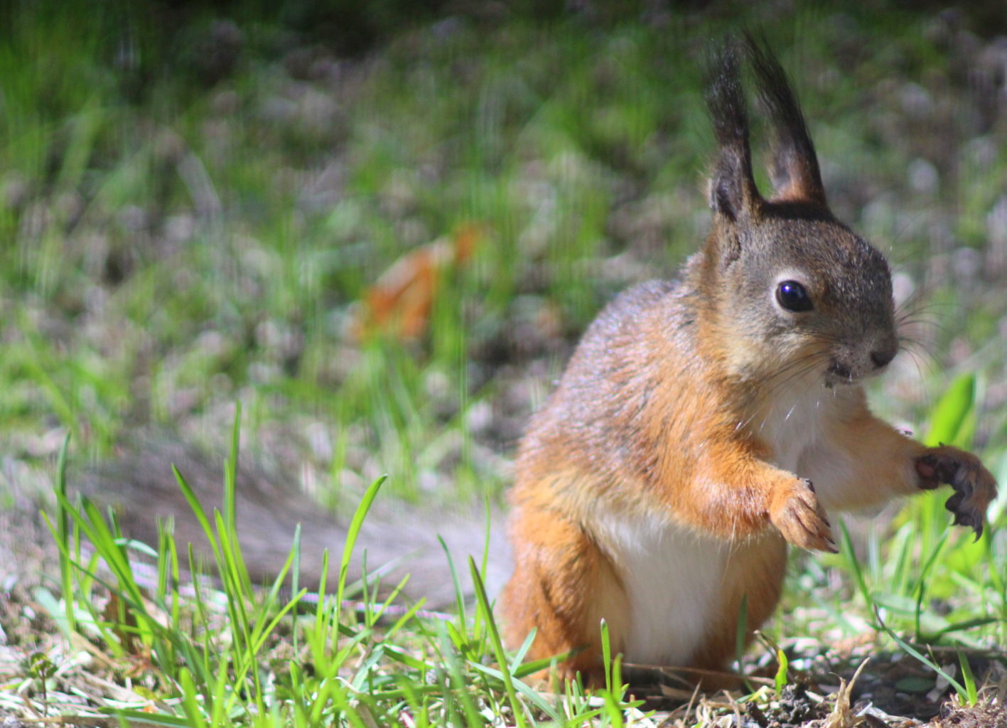Valokuvaaja: Kalle Asikainen