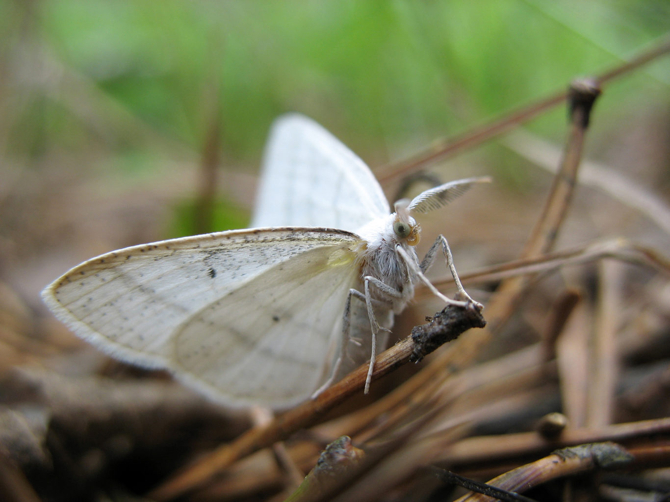 Valokuvaaja: Mirva Inkilä