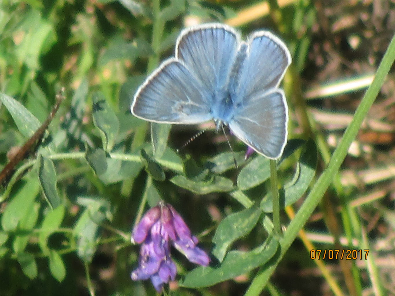Valokuvaaja: yrjo lukkari