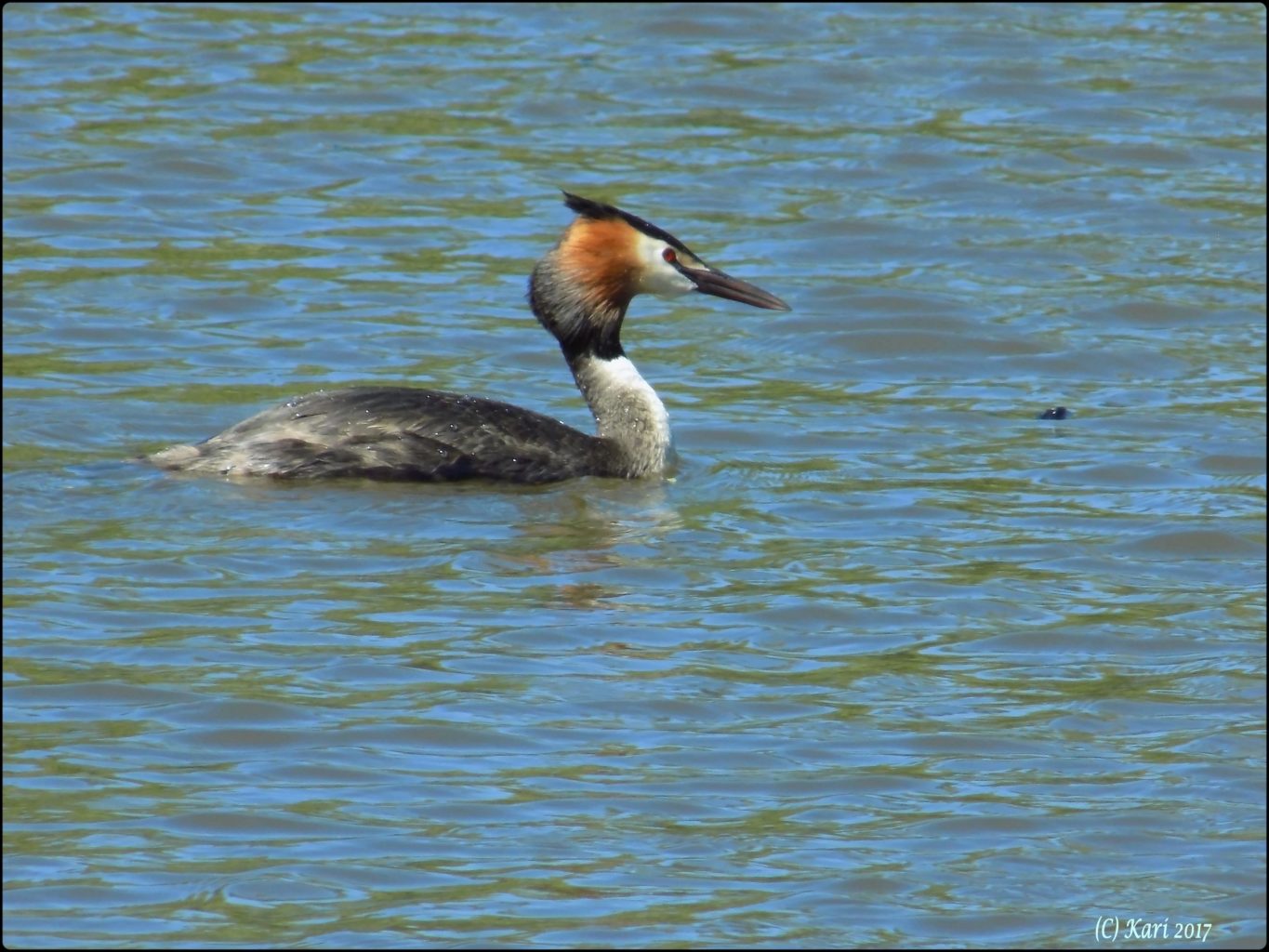 Valokuvaaja: Kari Saarinen
