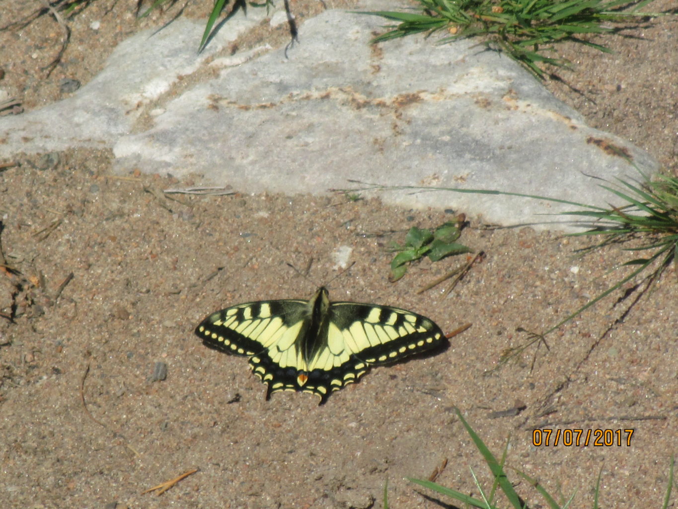Valokuvaaja: yrjo lukkari