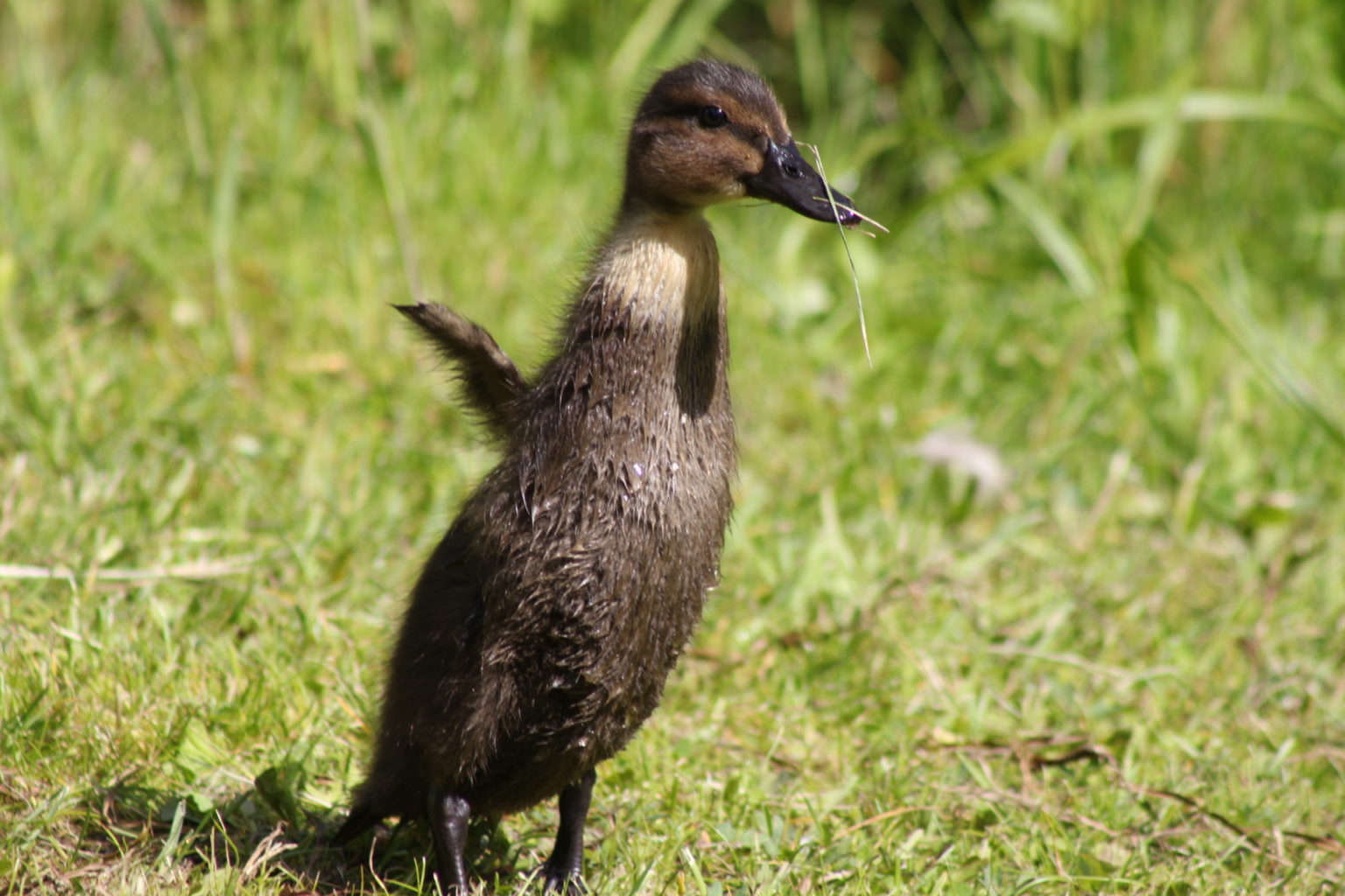 Valokuvaaja: Terhi Pöntinen
