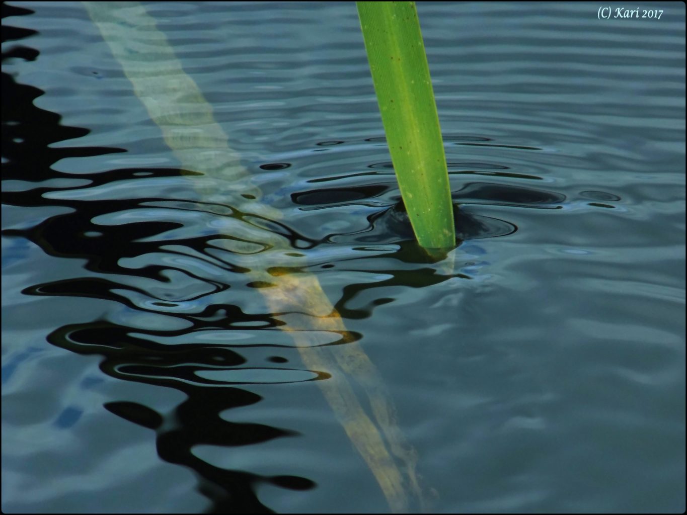 Valokuvaaja: Kari Saarinen